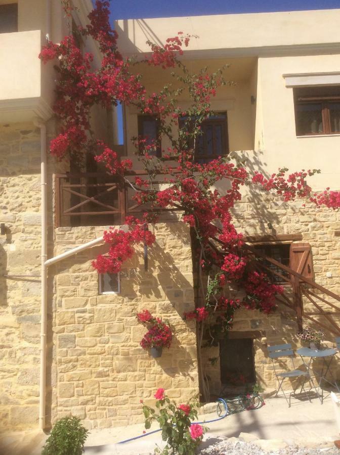 Villa Kritikies Kydonia Pitsidia Exterior foto